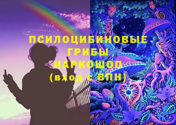 дмт Бронницы